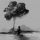 How to Disappear Completely