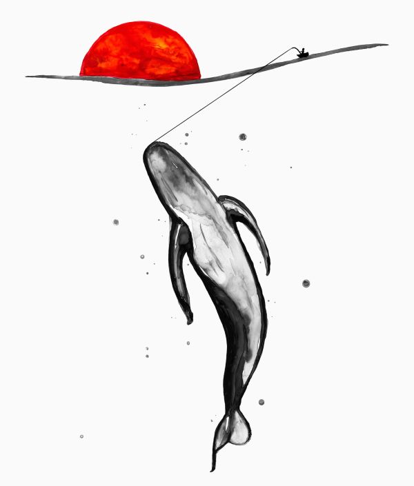 The Catch