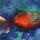 Weird Fishes