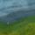 Fields of Abstract