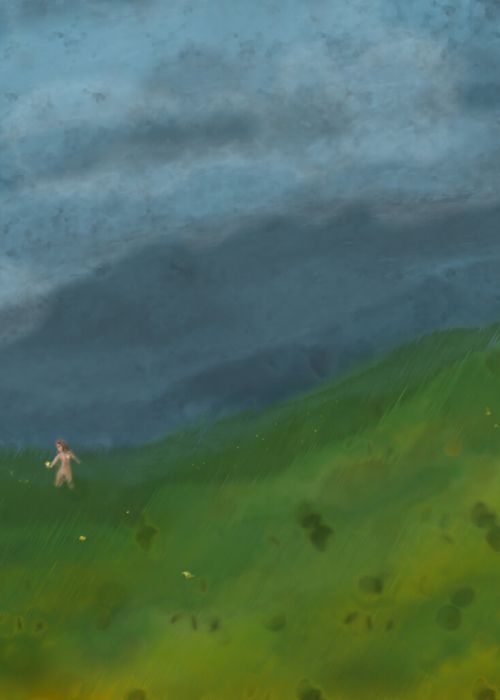 Fields of Abstract