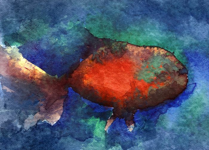 Weird Fishes