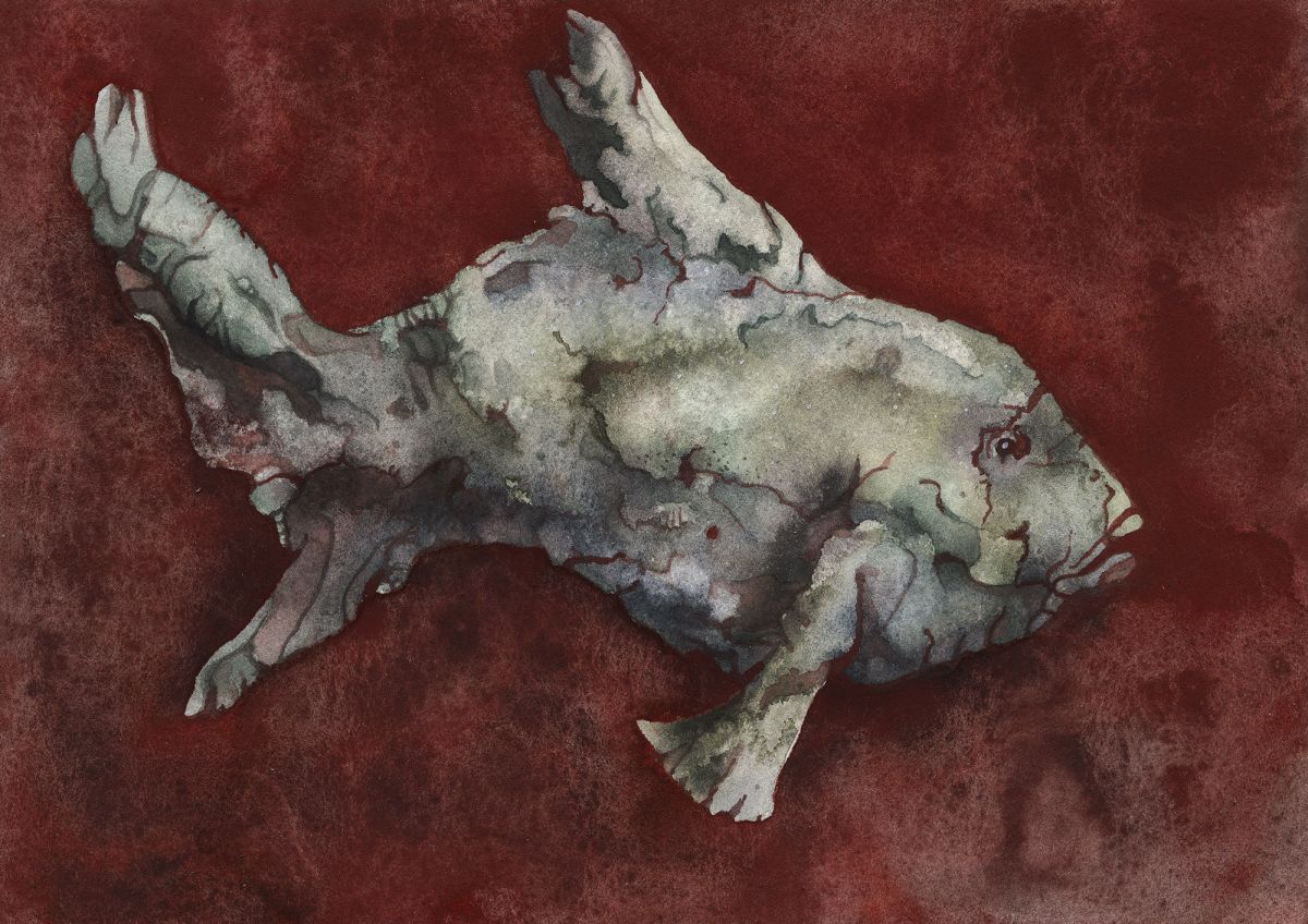 A Fish Out of Water