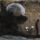 Dejected (Sway with Me)