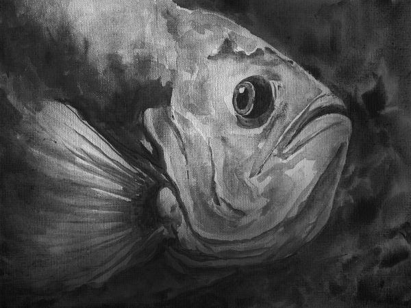 Grayfish