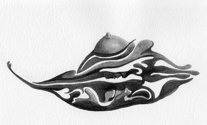 Unfolding Leaf