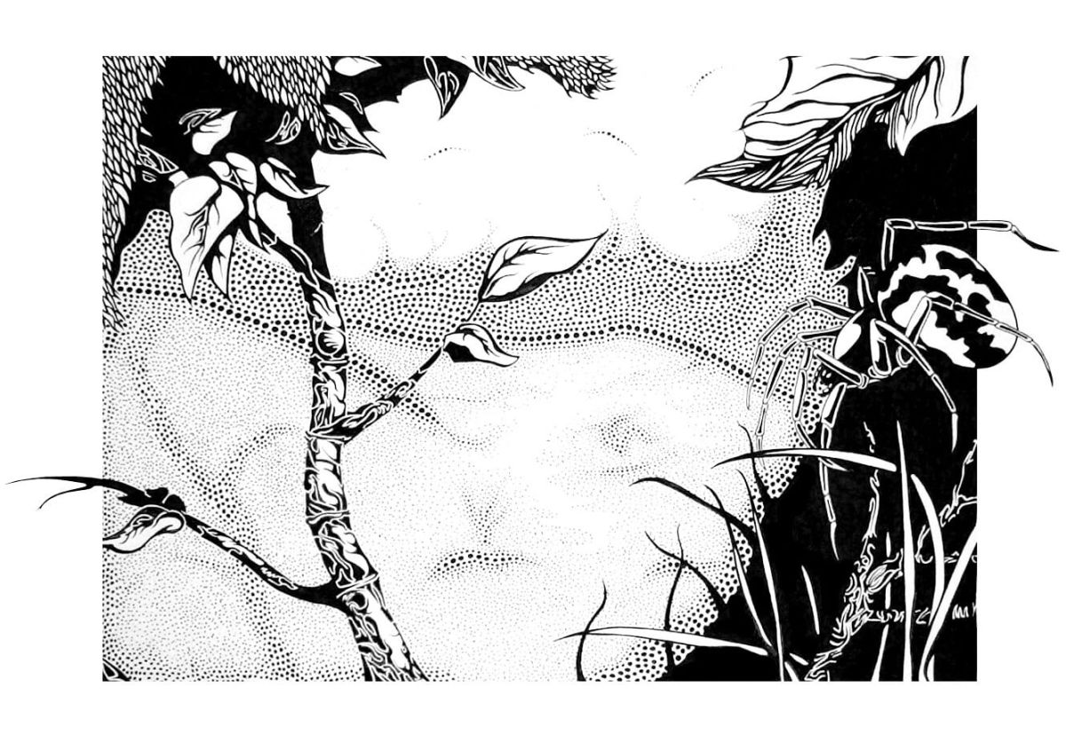 Garden of Eden